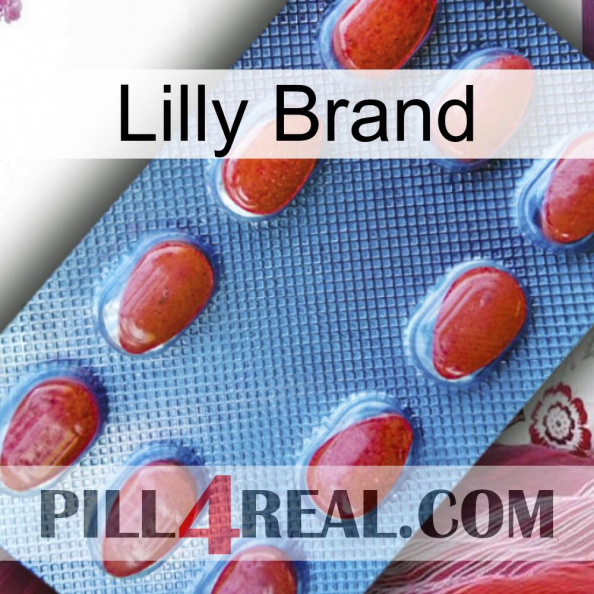 Lilly Brand 06.jpg